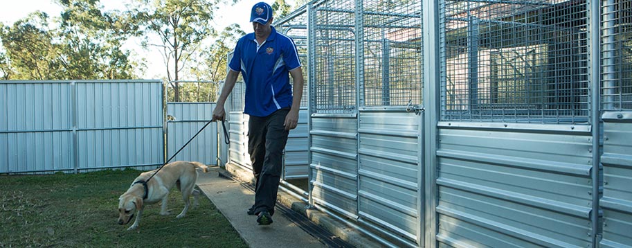 Boarding Kennels Brisbane Dog Trainer & Obedience